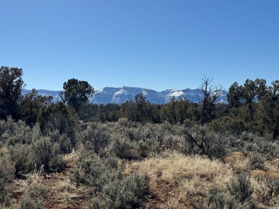 Residential Building Lot; Land in Cortez, CO FOR SALE - image 3