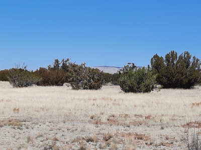 Northern AZ off grid property - image 4