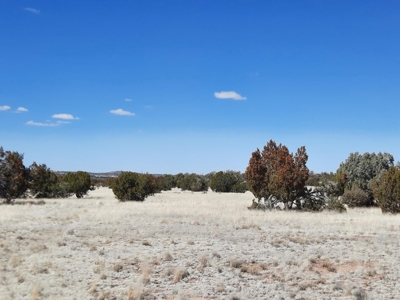 Northern AZ off grid property - image 1