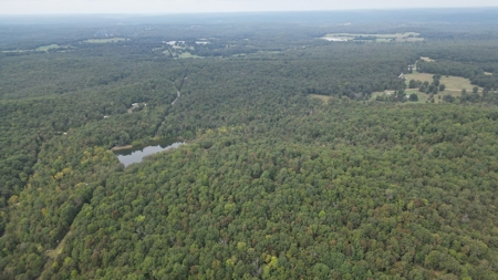 Room for multi families for sale Sharp County, Arkansas - image 49