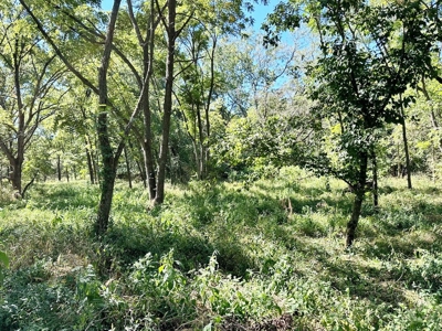 Cedar County Missouri Land For Sale - image 8