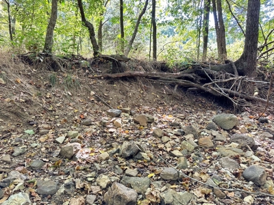 Cedar County Missouri Land For Sale - image 10