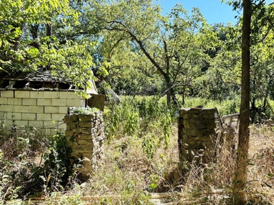 Cedar County Missouri Land For Sale - image 19