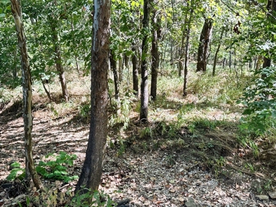 Cedar County Missouri Land For Sale - image 11