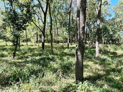 Cedar County Missouri Land For Sale - image 7