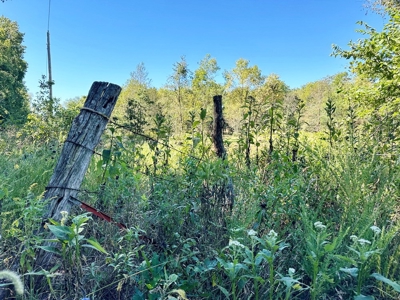 Cedar County Missouri Land For Sale - image 20