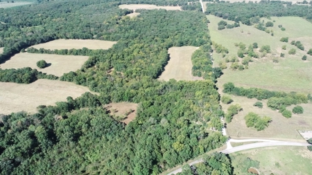 Cedar County Missouri Land For Sale - image 21