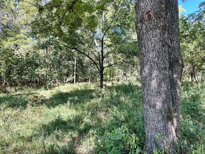 Cedar County Missouri Land For Sale - image 6