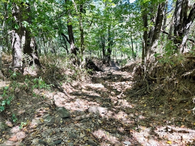 Cedar County Missouri Land For Sale - image 9