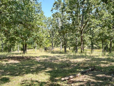 5 Bedroom Home on 81+ acres in Salem, MO - image 33