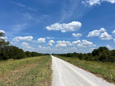 Hunting Land for Sale in Yazoo County, MS - image 28