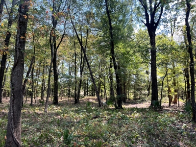 Hunting Land for Sale in Yazoo County, MS - image 24