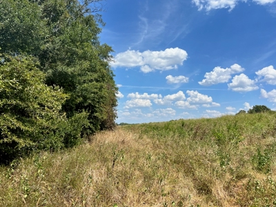 Hunting Land for Sale in Yazoo County, MS - image 27