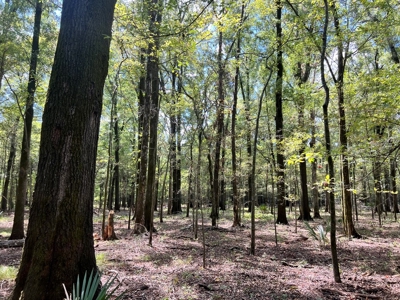Hunting Land for Sale in Yazoo County, MS - image 17