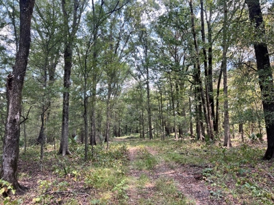 Hunting Land for Sale in Yazoo County, MS - image 25