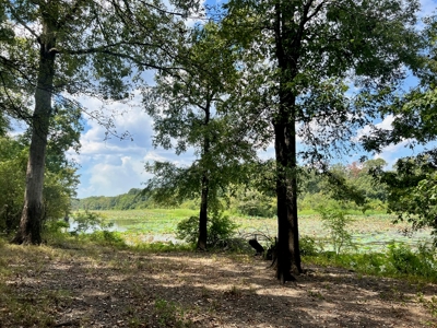 Hunting Land for Sale in Yazoo County, MS - image 4