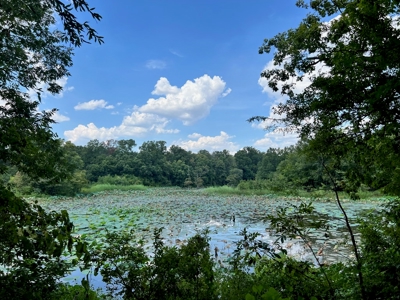 Hunting Land for Sale in Yazoo County, MS - image 26