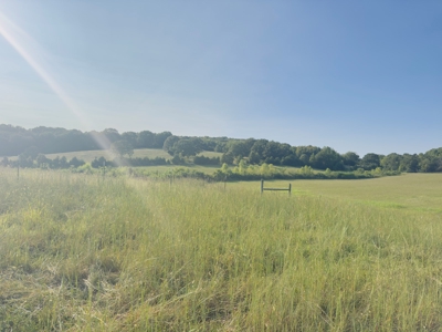 Unrestricted Land For Sale In Arkansas - image 5
