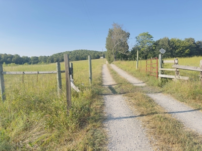 Unrestricted Land For Sale In Arkansas - image 4