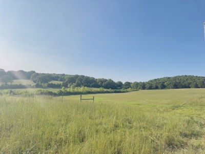 Unrestricted Land For Sale In Arkansas - image 6