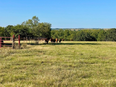 El Dorado Springs, MO County Home and Cattle Ranch for Sale - image 47