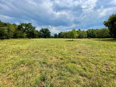 El Dorado Springs, MO County Home and Cattle Ranch for Sale - image 40