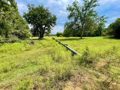 El Dorado Springs, MO County Home and Cattle Ranch for Sale - image 45