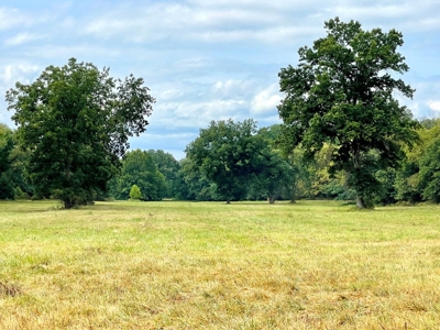 El Dorado Springs, MO County Home and Cattle Ranch for Sale - image 38