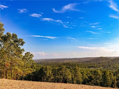 Marion County 19.53 Acres For Sale Near White River - image 1