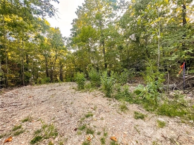 Marion County 19.53 Acres For Sale Near White River - image 17