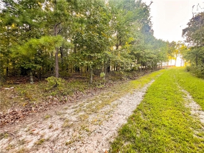 Marion County 19.53 Acres For Sale Near White River - image 12
