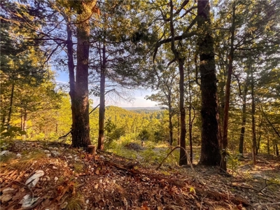 Marion County 19.53 Acres For Sale Near White River - image 10