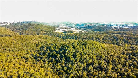 Marion County 19.53 Acres For Sale Near White River - image 3