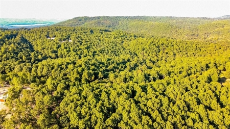 Marion County 19.53 Acres For Sale Near White River - image 5