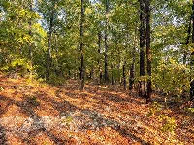 Marion County 19.53 Acres For Sale Near White River - image 13