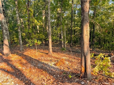 Marion County 19.53 Acres For Sale Near White River - image 20
