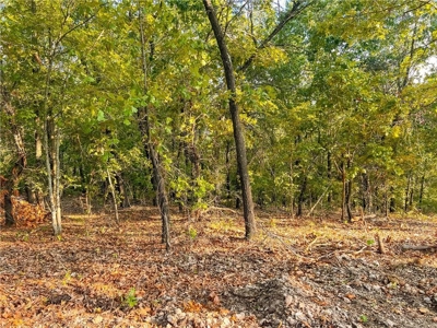 Marion County 19.53 Acres For Sale Near White River - image 22