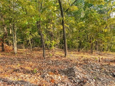 Marion County 19.53 Acres For Sale Near White River - image 21