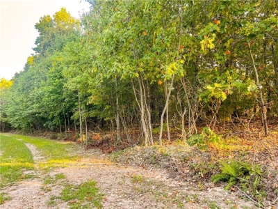 Marion County 19.53 Acres For Sale Near White River - image 18