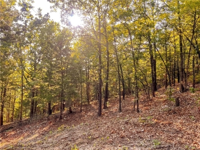 Marion County 19.53 Acres For Sale Near White River - image 15