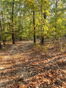 Marion County 19.53 Acres For Sale Near White River - image 23