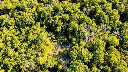 Marion County 19.53 Acres For Sale Near White River - image 7