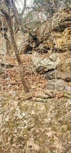 Marion County 19.53 Acres For Sale Near White River - image 25