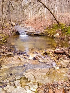 Marion County 19.53 Acres For Sale Near White River - image 28
