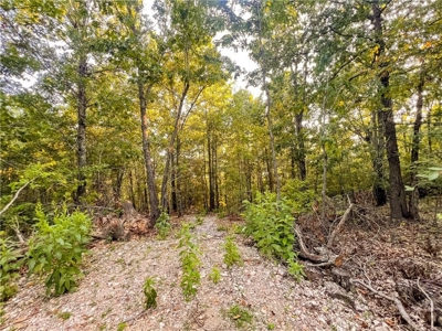 Marion County 19.53 Acres For Sale Near White River - image 16