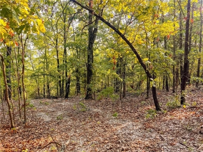 Marion County 19.53 Acres For Sale Near White River - image 14