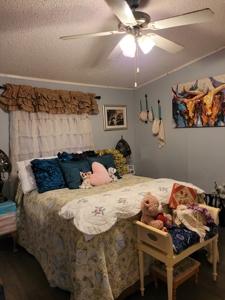 Two Country Homes on Acreage in NE Texas, Fannin County TX - image 37