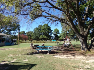Two Country Homes on Acreage in NE Texas, Fannin County TX - image 4
