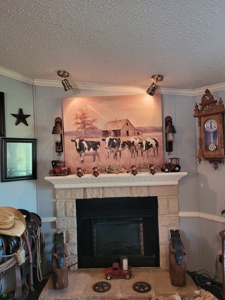 Two Country Homes on Acreage in NE Texas, Fannin County TX - image 44