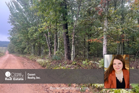 7 Acres of Vacant Land in Howell County Missouri - image 3